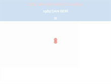 Tablet Screenshot of binsursurucukursu.com